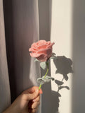 Handmade Chenille Stem Rose | Single Stem Forever Rose | Retail & Wholesale