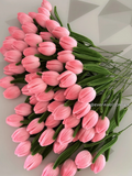 Handmade Chenille Stem Tulips | 50 Stems Wholesale | Custom Colors